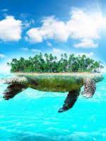 Toàn Dân Hải Đảo: Ta Tại Cự Quy Trên Lưng Kiến Gia Viên